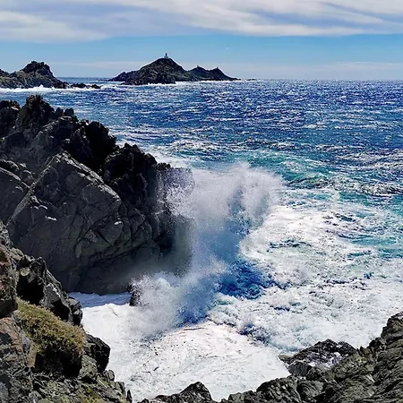 Awesome In With Wifi * 阿雅克肖